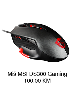 Miš MSI DS300 Gaming